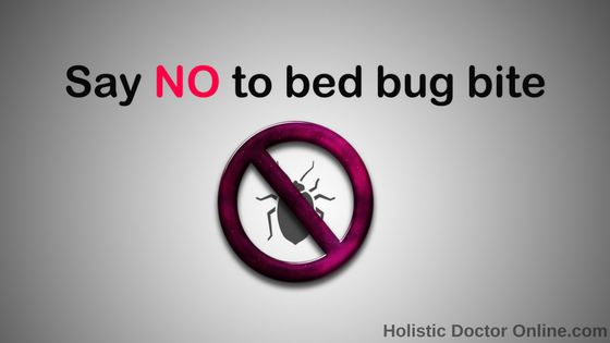 Bed Bug Bites Holistic Doctor Online