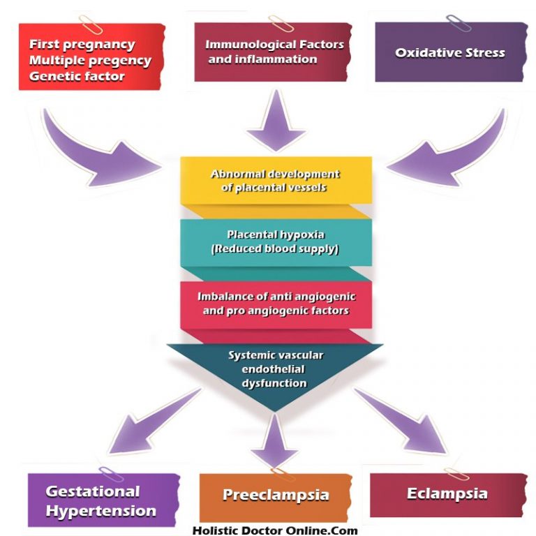 Gestational Hypertension Pregnancy Induced Hypertension