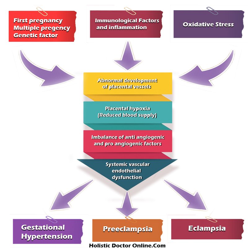 ppt-pregnancy-induced-hypertension-powerpoint-presentation-free