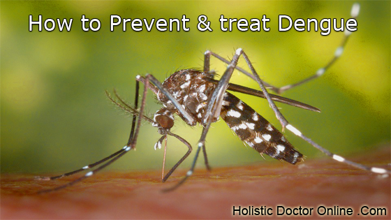 prevent dengue