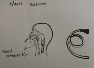 nasal catheter